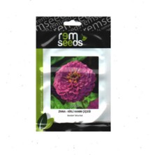 Zinnia Çiçek Tohumu (Kirli Hanım Çiçeği) (Yaklaşık 25 Tohum)