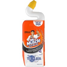 Mr Muscle Köpüren Jel Tuvalet Temizleyici Lavanta 750 ml 3 Adet