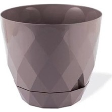 Asil Acar Home 2 No Yakamoz Saksı 1 Adet ROYALEKS-KRS-452