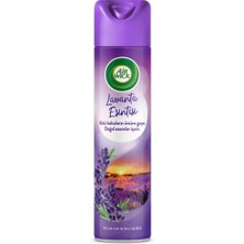 Air Wick Aerosol Lavanta Esintisi 300 ml