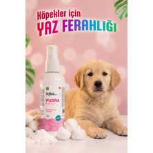 Reflex Care Pudra Kokulu Köpek Kolonyası 125 ml
