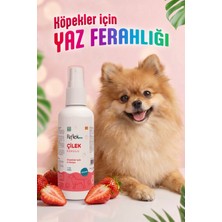 Reflex Care Çilek Kokulu Köpek Kolonyası 125 ml