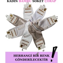 Larimar Mısırlı 70211 Kadın Pamuk Patik Çorap