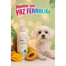 Reflex Care Tropikal Kokulu Köpek Kolonyası 125 ml