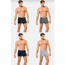 Anıt Bambu Boxer