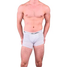 Anıt Erkek Penye Lcykralı Boxer 4 Adet 1115-GRI