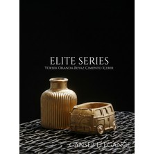 Canseb Elegance Ikili Set - Gold Renk - Retro Karavan Sukulent Saksı & Çizgili Pampas Vazosu