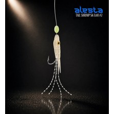 Alesta Taıl Shrımp Rıg X0284 5 Köstek Hazır Takım 0.40MM No:2 Iğne