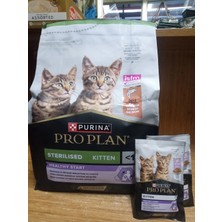 Purina Sterilised Kitten Yavru Kedi Kısır Mama 3 kg Somonlu+3 ADET PRO PLAN HİNDİ ETLİ YAVRU KEDİ YAŞ MAMA 85 GRAM