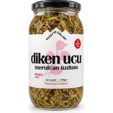 Kuzeyin Sırları Dikenucu (Merulcan) Tuzlusu