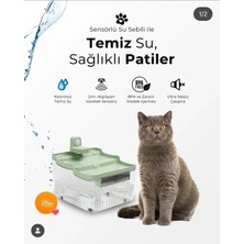 Gece Petshop Kedi Su Pınarı
