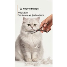 Duffa Evcil Hayvan Makası Kavisli Köpek Tüy Kesme Makası Pet Kuaför Makası Kedi Köpek Saç Şekil Verme Makası Paslanmaz Çelik 7 Inç