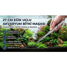 Marimo Scape Bitki Maşası 27 cm
