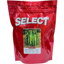 Select Au-Producer Karpuz Tohumu 500 gr