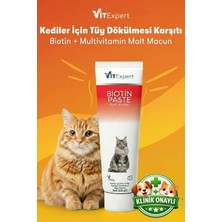 Vitexpert Kediler Için Biotin Paste Tüy Dökülme Engelleyici Döküm Önleyici Tüy Sağlığı Malt Macunu 100 gr
