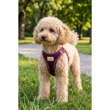 GOBYPET Kediler ve Köpekler Için Rahat, Dayanıklı Göğüs Tasması M