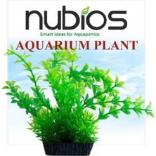 Nubios Kare Tabanlı Plastik Bitki 10 cm