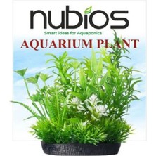 Nubios Kare Tabanlı Plastik Bitki 10 cm