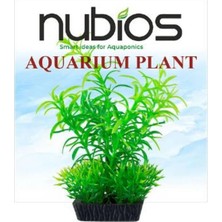 Nubios Kare Tabanlı Plastik Bitki 10 cm