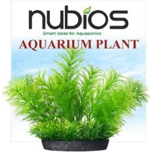 Nubios Kare Tabanlı Plastik Bitki 10 cm
