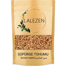 Lalezen Süpürge Tohumu 250 gr