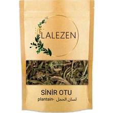 Lalezen Sinir Otu - Sinirli Ot - Damar Otu 100 gr