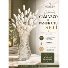 Plant Home Power Mix Kesitli Cam Vazo ve Pamuk Otu Seti – Dekoratif Modern Vazo