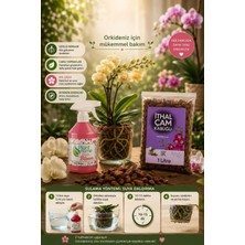 Plant Home Power Mix Orkideler Için Premium Görünüm ve Güçlü Gelişim
