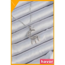 Havor Zirkon Taşlı Ay Desenli Kolye 45CM Zincir Uzunluğu