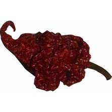 Tohumcu Kikizade Kurutulmuş Carolina Reaper Atom Biber 1 Adet 2,2 Milyon Scoville Gurme Yüksek Aroma Türkiye Üretimi