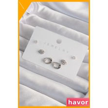 Havor Zirkon Taşlı Yaprak Desenli Pirinç Küpe Çifti
