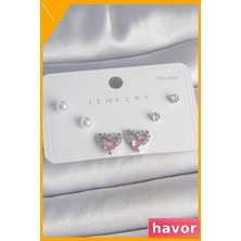 Havor Pembe Zirkon Taşlı Kalp Desenli 925 Ayar Gümüş Çivi Küpe