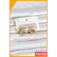 Havor 316L Çelik Gold Renk Deniz Kabuğu Model Kadın Küpe