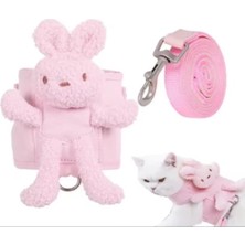AyrStore Buğz Evcil Hayvan Peluş Ayıcıklı Göğüs Gezdirme Tasması Set