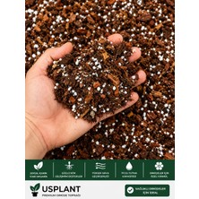 Usplant Orkide Toprağı 5 Litre | Profesyonel Orkide Yetiştirme Karışımı | Yüksek Hava Geçirgenliği