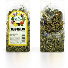 MiraLive Poşet Ebegümeci 40 Gr.