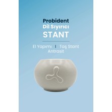 Probident Beyaz Dil Temizleme Standı Estetik Tasarım ile Hijyenik Kullanım Sunar