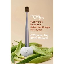 Probi White Spiral Uçlu Diş Fırçası (Gri) + Özel Tasarım Taş Stant