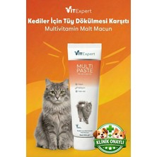 Vitexpert Multi Paste Tüm Kediler Için Multi Vitamin Bağışıklık Ve Tüy Sağlığı Destekleyici Malt Macun 100 Gr