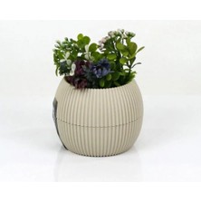 MiraLive Mercan Saksı 11.5X12 cm 0.70 Lt