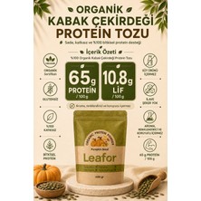 Leafor Organik Kabak Çekirdeği Protein Tozu | Bitkisel, Glutensiz, Vegan ve Katkısız