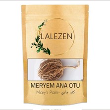 Lalezen 2 Adet Meryem Ana Otu- Mary's Palm- Fatma Ana Eli