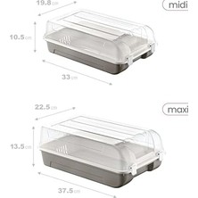 10'lu Set 5 Kadın & 5 Erkek Terra Ayakkabı Kutusu