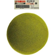 Yamaha Orjinal Varyatör Filtresi 2DP-E5407-00