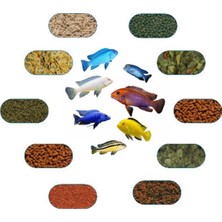 Yemkolik Malawi Yem Paketi 50 gr (7 Çeşit)