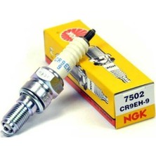 Ngk CR9EH-9 Buji