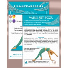 Yoga Hareketleri 100 Kartlık Yaza Hazırlık Kilo Verme Serisi Doğal Taş Hediyeleri ile