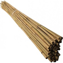 Belirtilmemiş 120 cm Doğal Bambu Bitki Çubuğu 10 Adet 5-10 mm