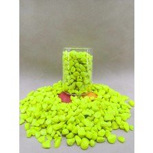 500  gr Sarı Akvaryum Taşı Parlak Dekoratif- Akvaryum  Taşları (1-2 Cm)