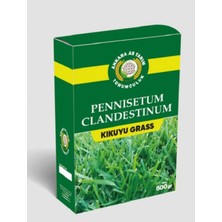 Kıkuyu Grass Çim Tohumu 500 gr